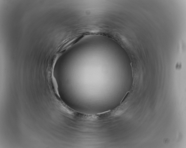 X0000091590576200709051124