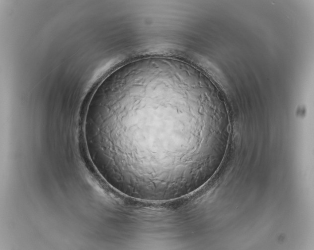 X0000091590578200709051123