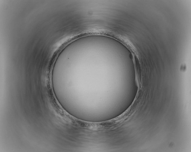 X0000091590579200709051123