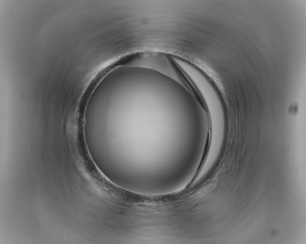X0000091590580200709051123