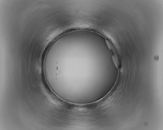 X0000091590582200709051123