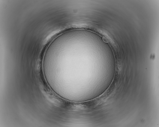 X0000091590583200709051123