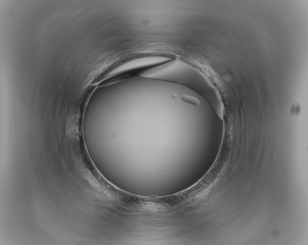 X0000091590585200709051123