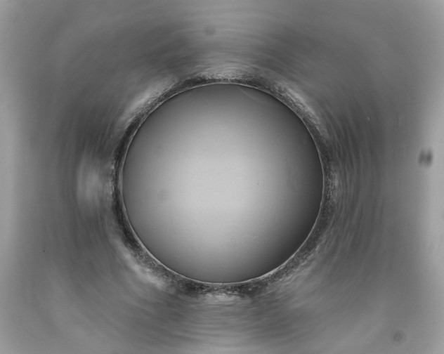 X0000091590586200709051123