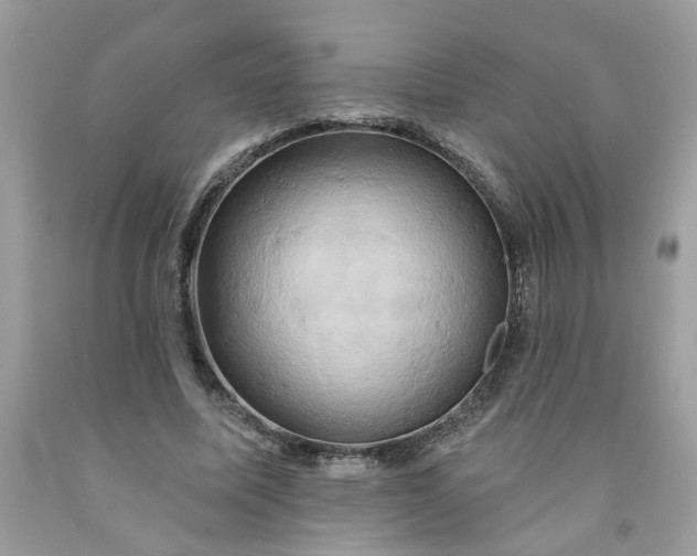 X0000091590587200709051123