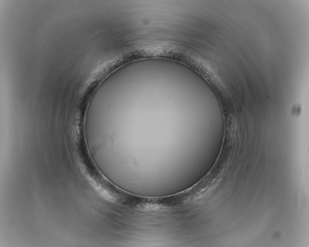 X0000091590590200709051123