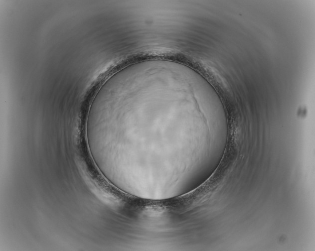 X0000091590591200709051123
