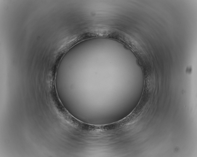 X0000091590594200709051123
