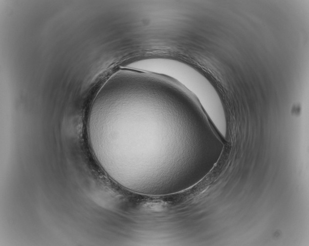 X0000091590595200709051123