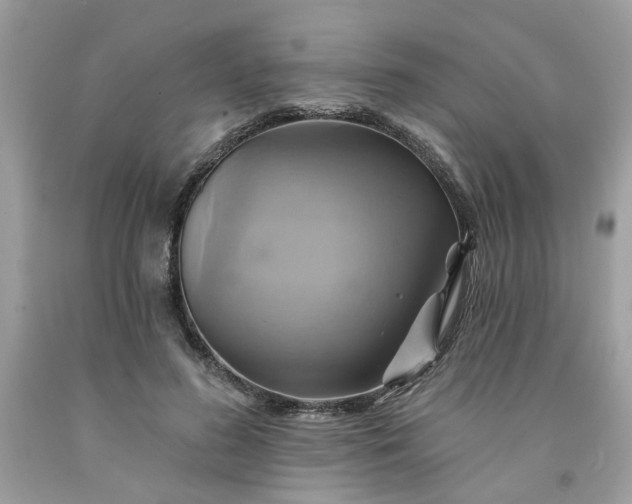 X0000091590596200709051123
