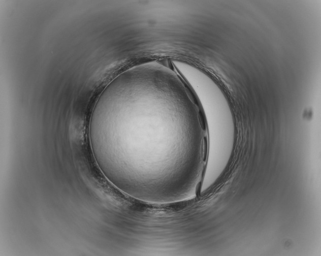 X0000091590597200709051123