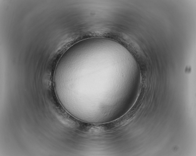 X0000091590599200709051123