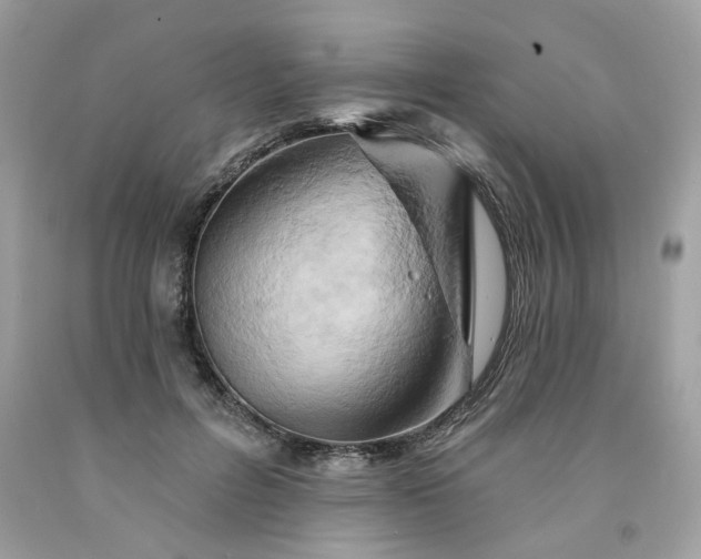 X0000091590600200709051123