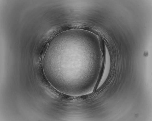 X0000091590601200709051123