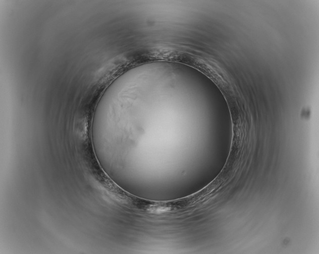 X0000091590602200709051123