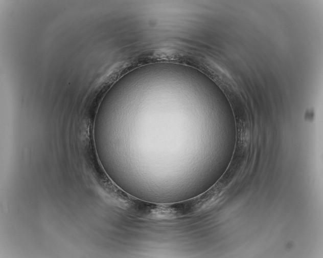 X0000091590603200709051123