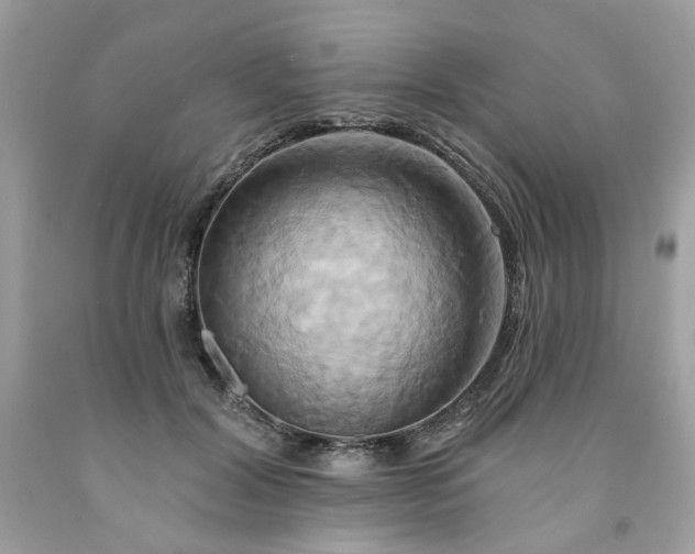 X0000091590604200709051123