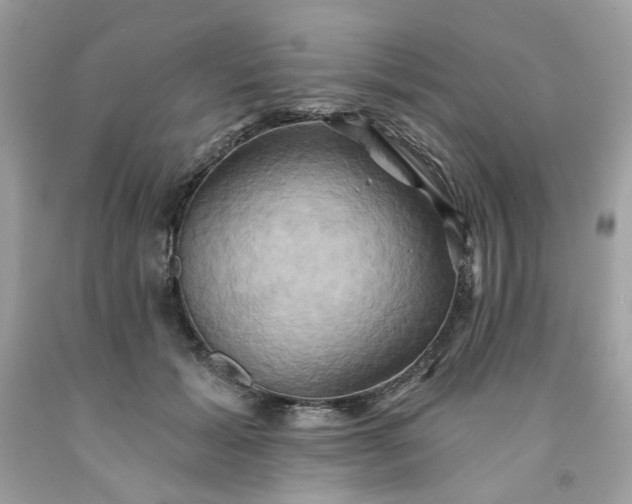 X0000091590605200709051123