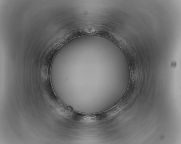 X0000091590606200709051123