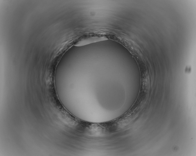 X0000091590608200709051123