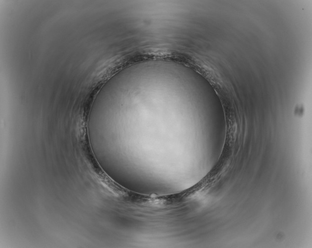 X0000091590609200709051123