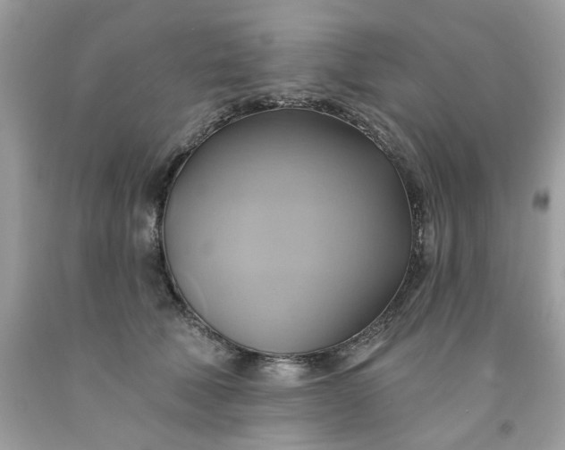 X0000091590610200709051123