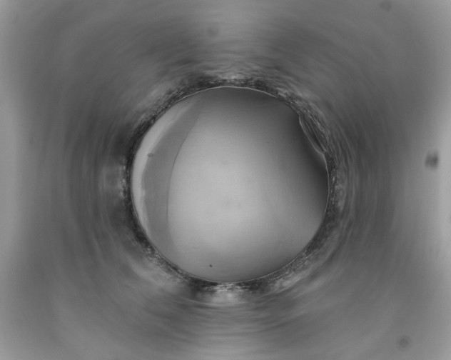 X0000091590612200709051123