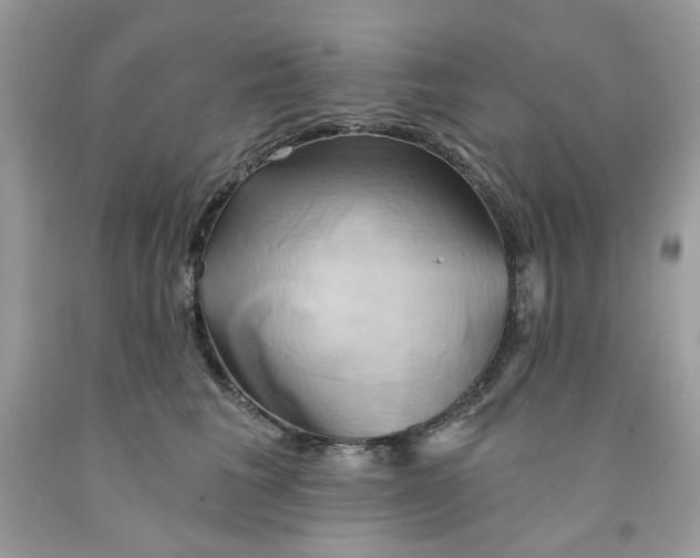 X0000091590613200709051123