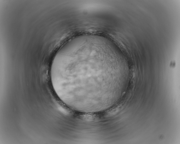 X0000091590615200709051123