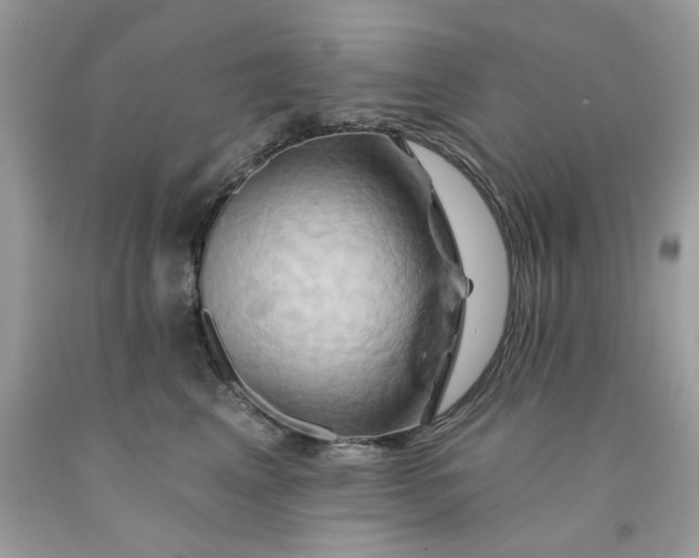 X0000091590617200709051123