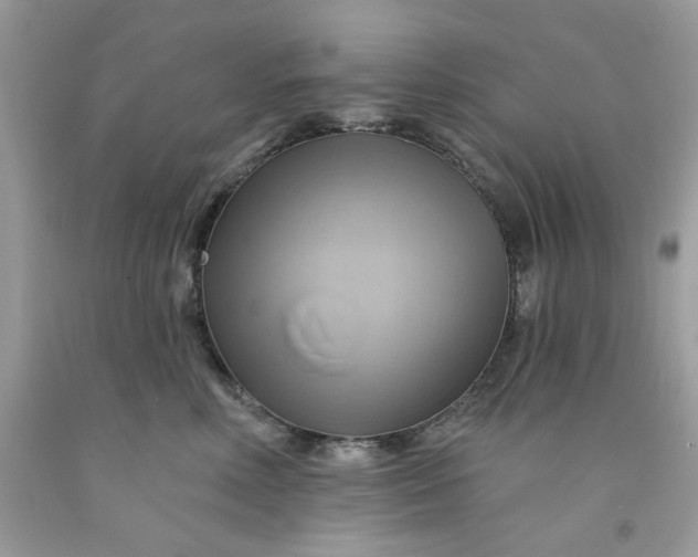 X0000091590618200709051123