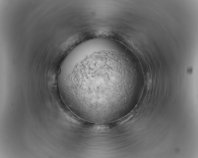 X0000091590619200709051123