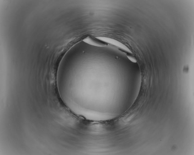 X0000091590620200709051123