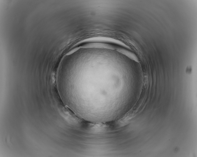 X0000091590621200709051123