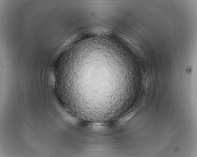 X0000091590622200709051123