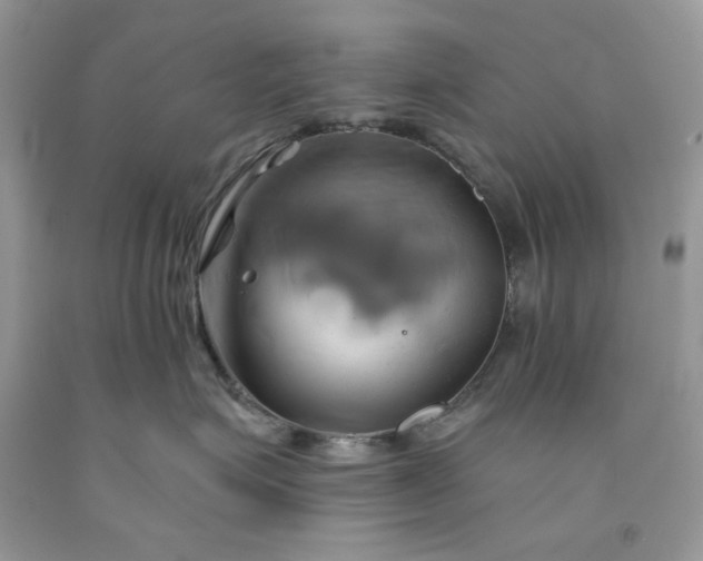 X0000091590623200709051123