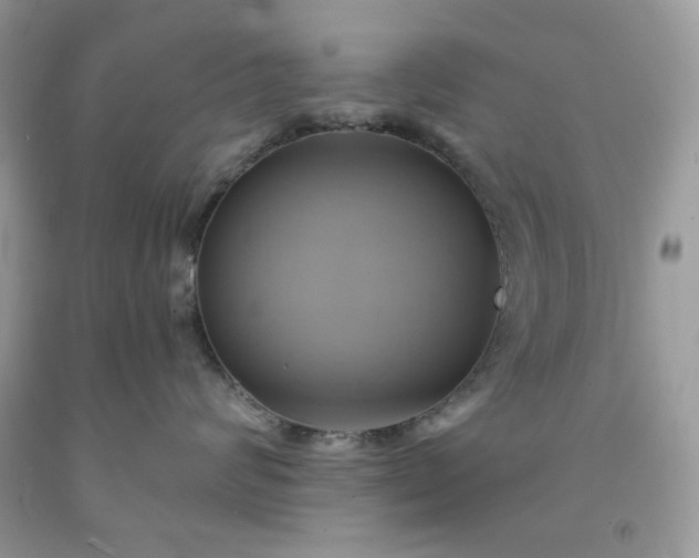 X0000091590624200709051123
