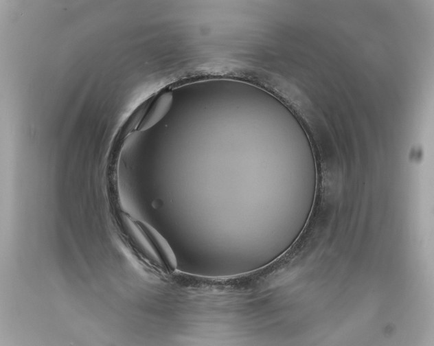 X0000091590626200709051122