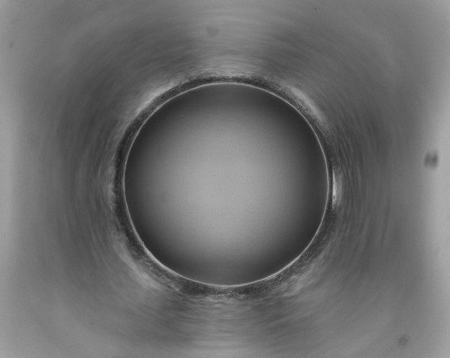 X0000091590627200709051122