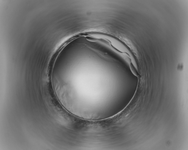 X0000091590628200709051122