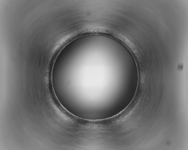 X0000091590629200709051122