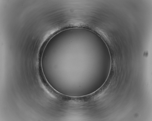X0000091590630200709051122