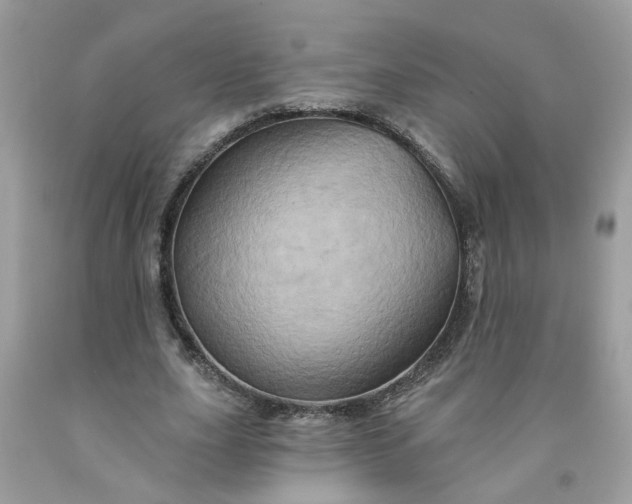 X0000091590631200709051122