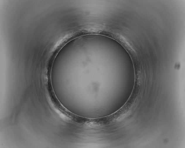 X0000091590634200709051122
