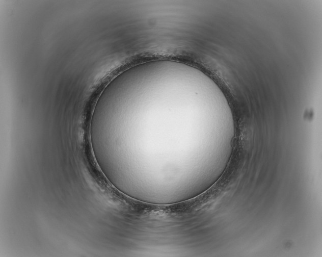 X0000091590635200709051122
