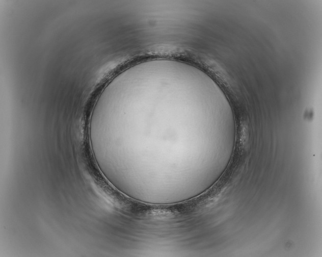 X0000091590636200709051122