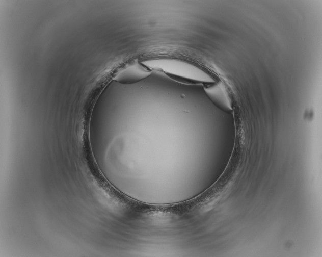 X0000091590637200709051122