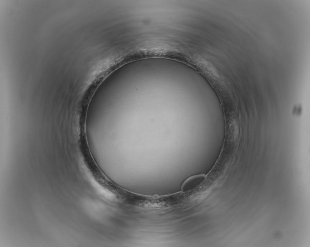 X0000091590638200709051122