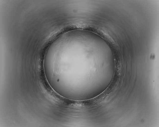 X0000091590639200709051122