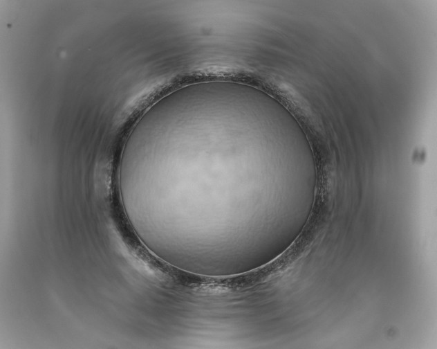X0000091590640200709051122